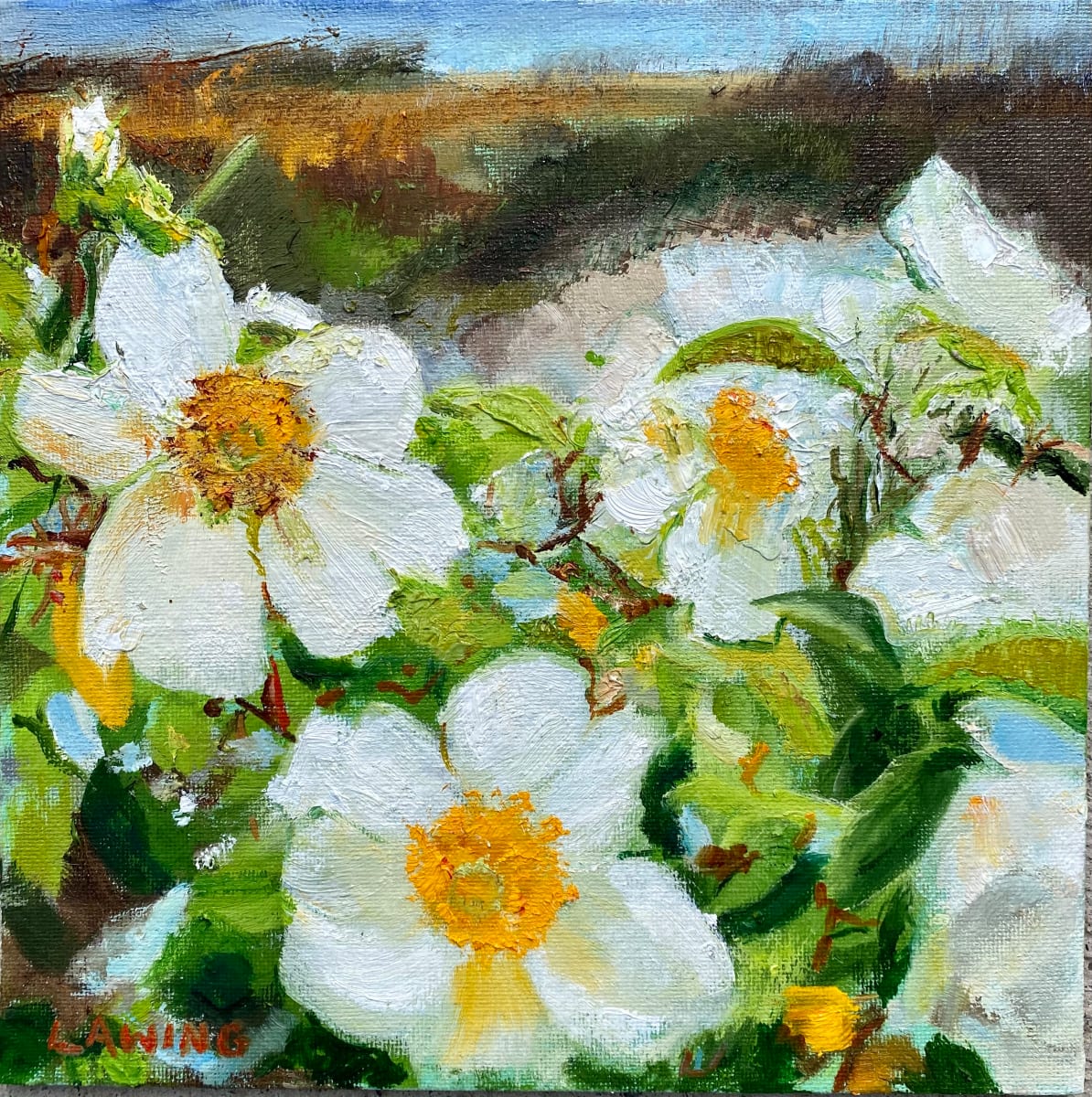 Georgia's Cherokee Rose by Julia Chandler Lawing 