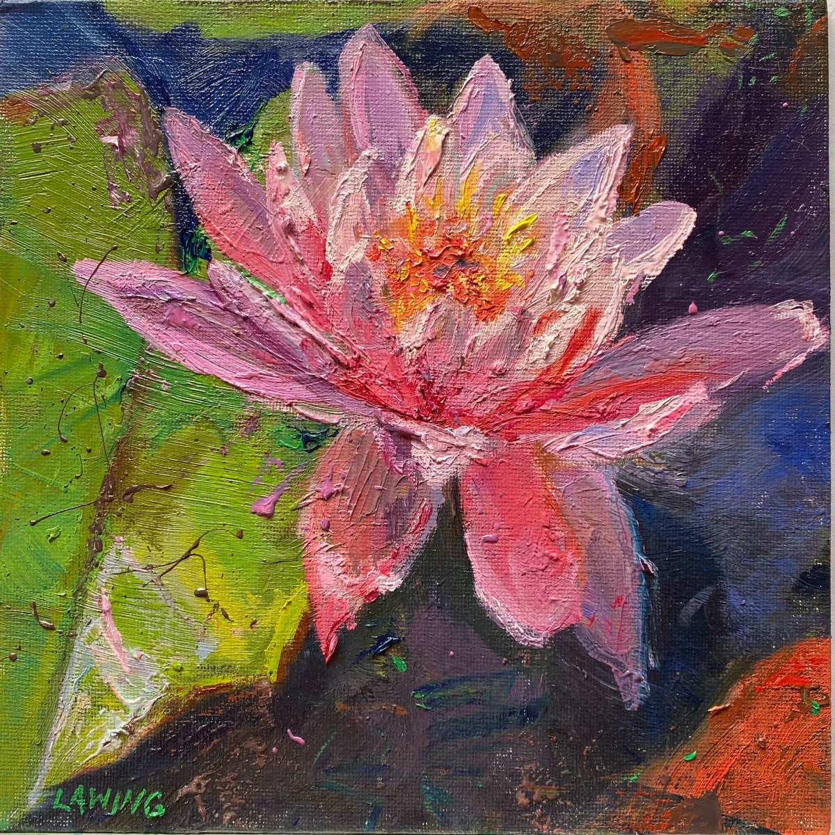 Pink Water Lilly 