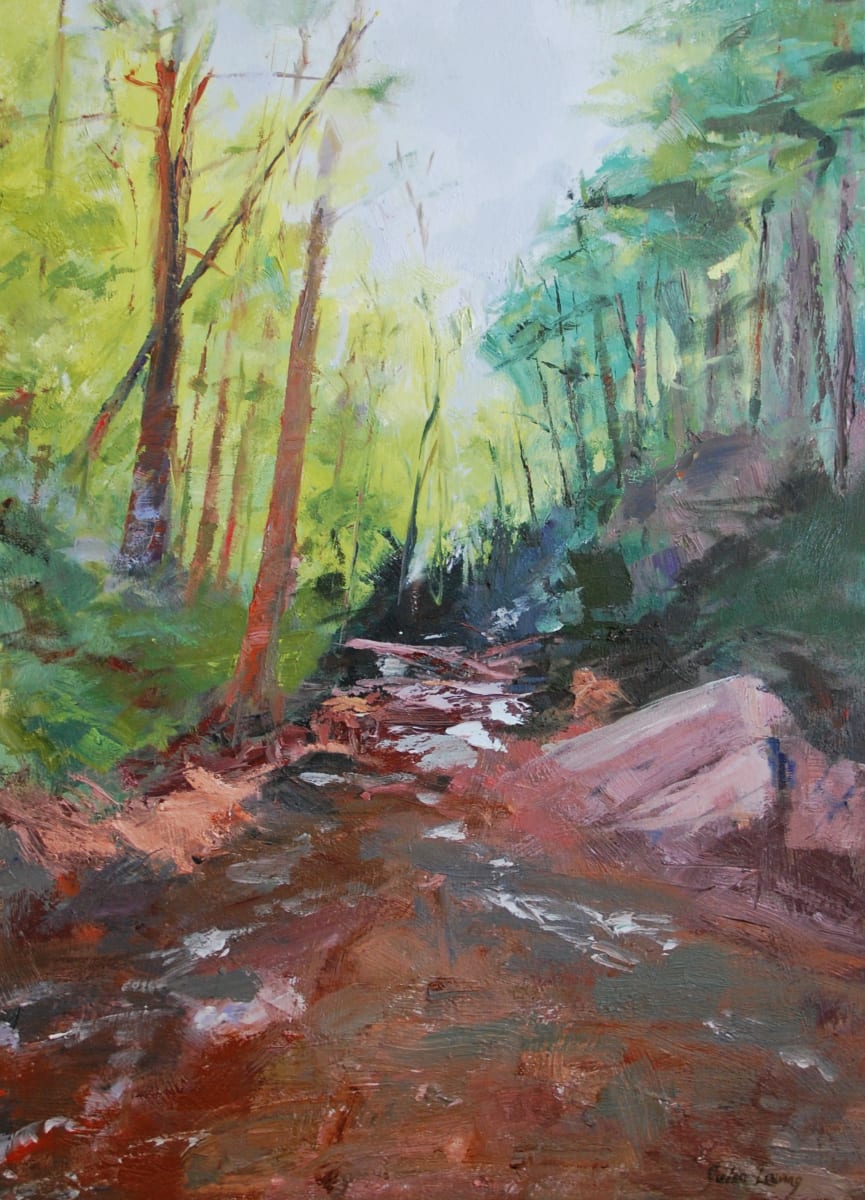 Behind Looking Glass Falls by Julia Chandler Lawing, Image 1.
