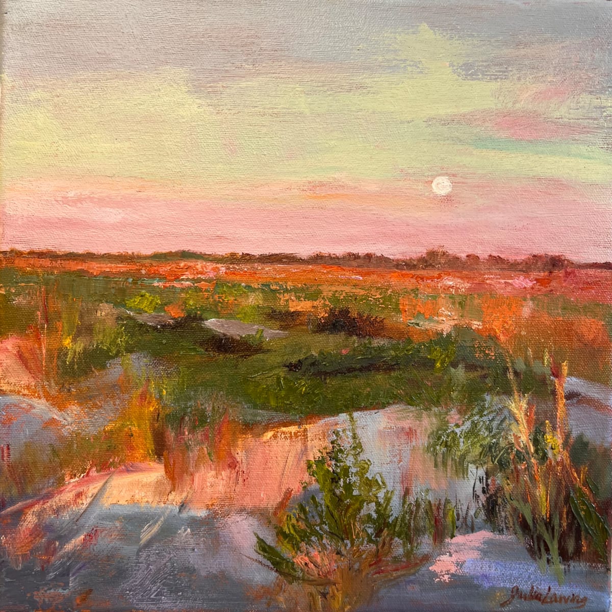 Lowcountry Moonset by Julia Chandler Lawing  Image: The full moon setting over sand dunes in the lowcountry as the day dawns on Little St Simons Island, Georgia. 