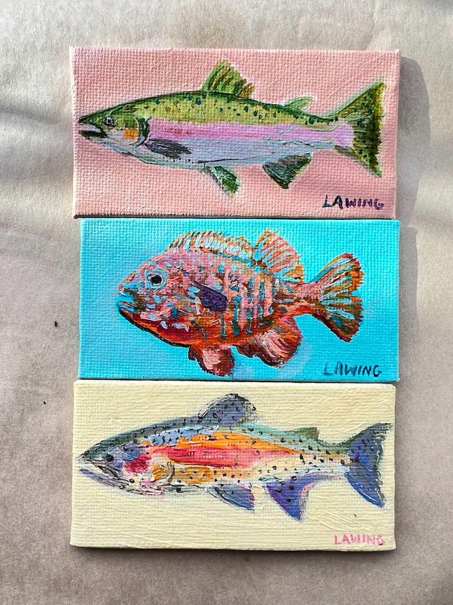 Freshwater Fish trio by Julia Chandler Lawing  Image: A colorful trio of freshwater fish: pink salmon, longear sunfish, rainbow trout. On miniature canvas panels, 2x4 inches each. 