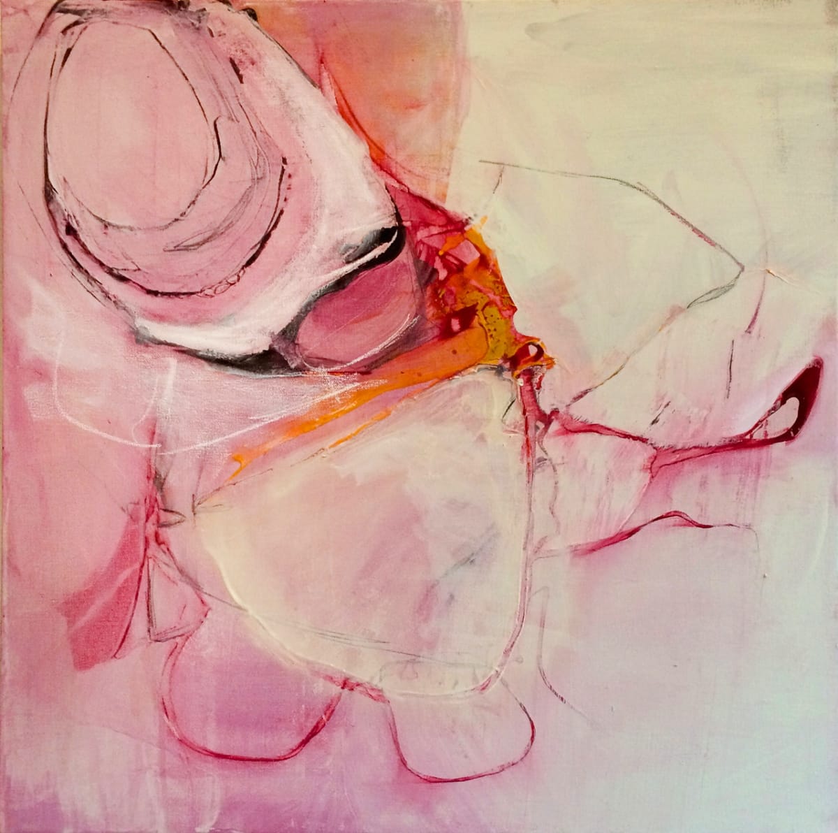 Blood and Bones by Laura Viola Preciado 