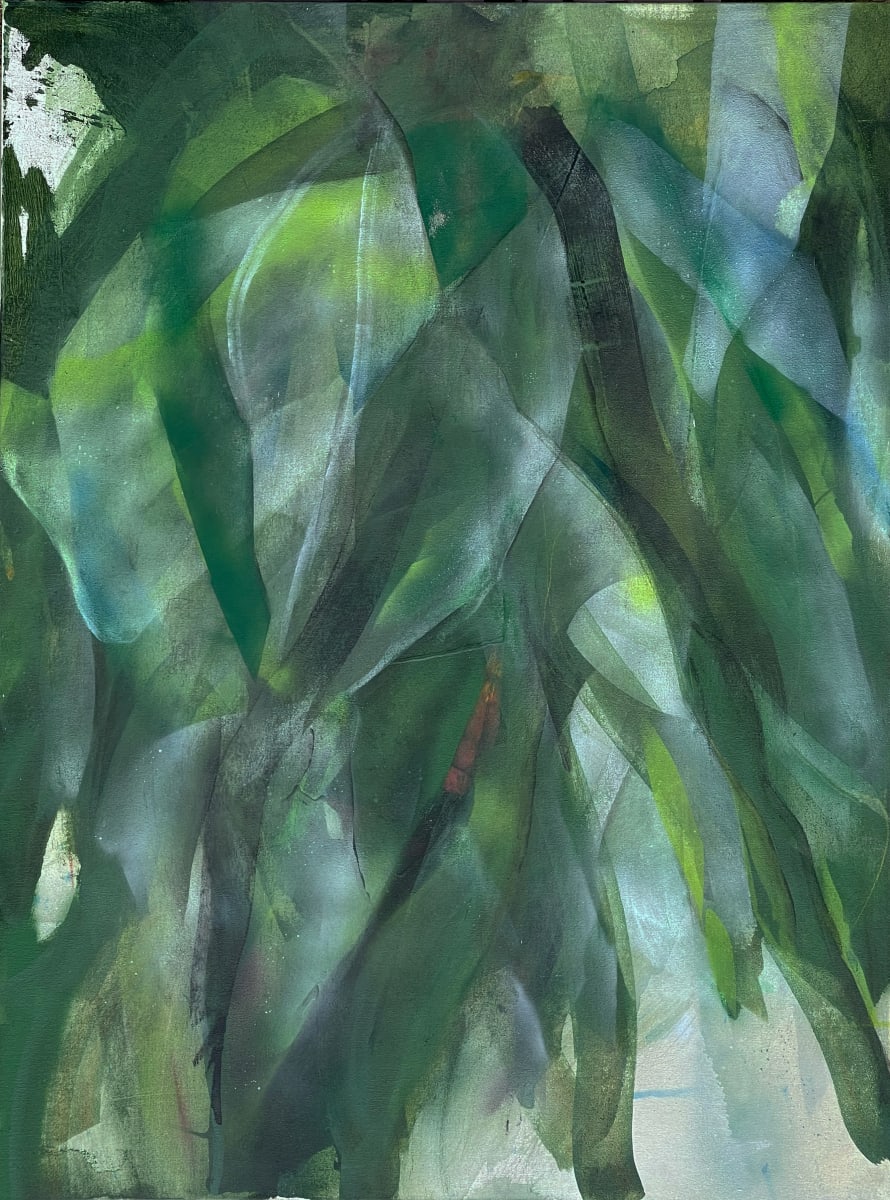 Reflections by Laura Viola Preciado 