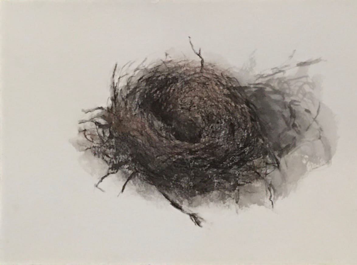 Nest with a Shadow by Vered Shamir Pasternak 