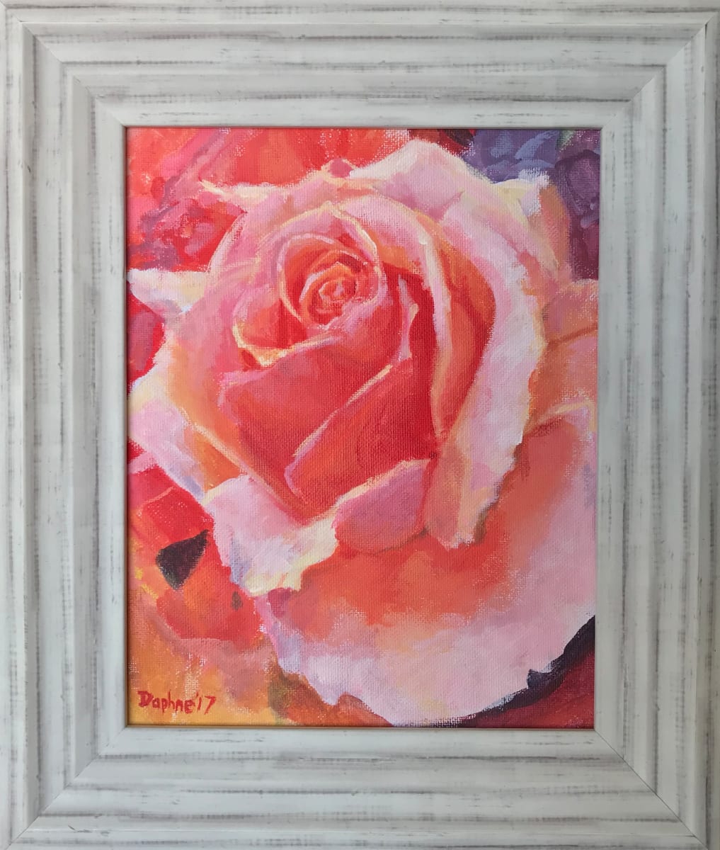 Pink Rose Demo 2017 by Daphne Cote 