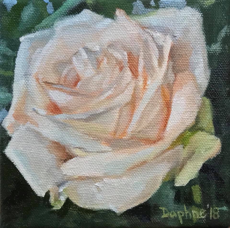 White Rose March 2018 by Daphne Cote 