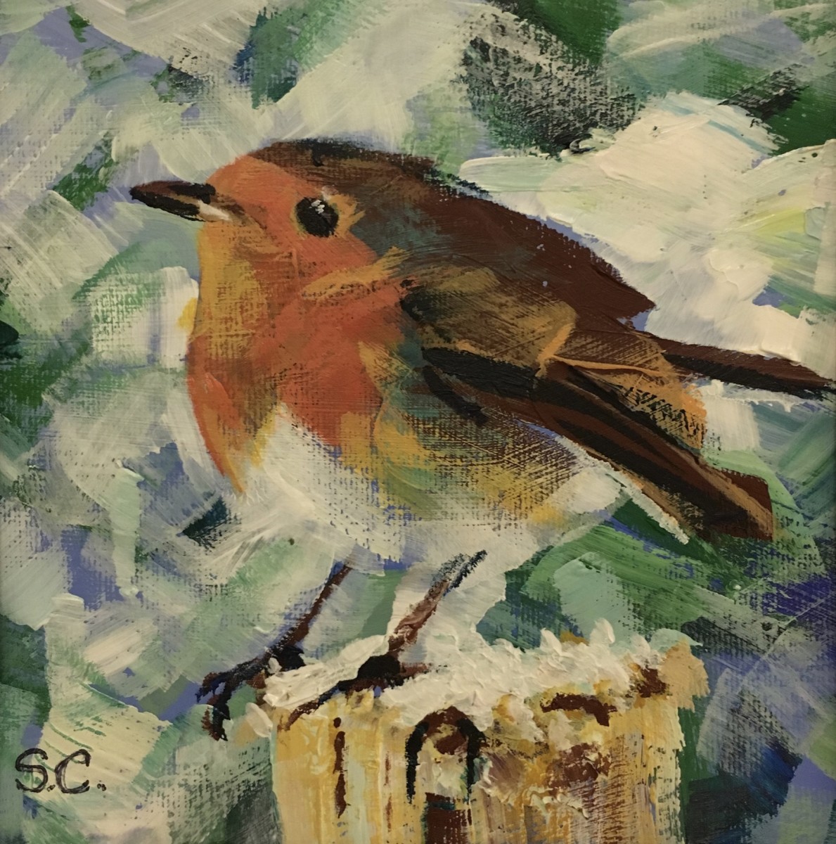 Robin by Susan Clare 