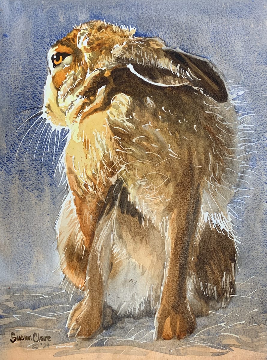Sunlit Hare by Susan Clare 