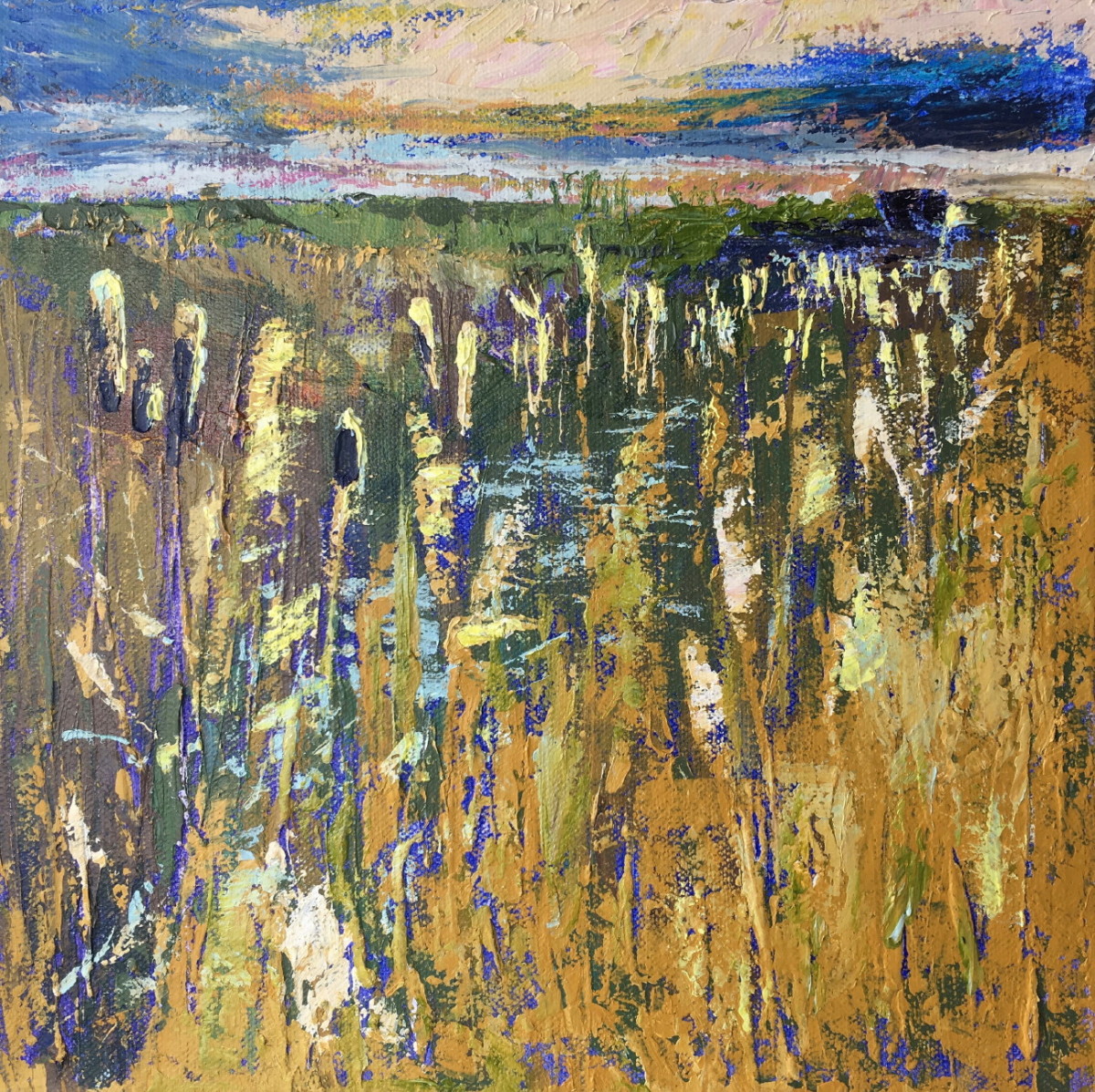 Bird Hide through the Reeds by Susan Clare 