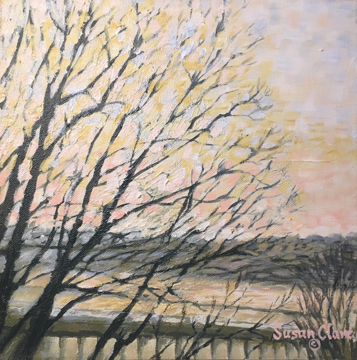 Frosty Morning Trees by Susan Clare, Image 1.