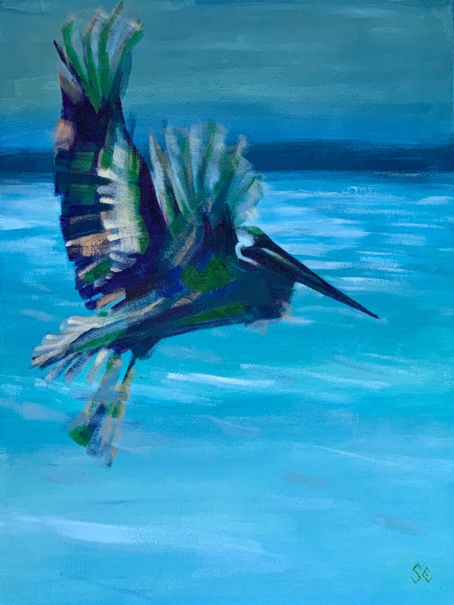 Pelican Approach by Susan Clare 