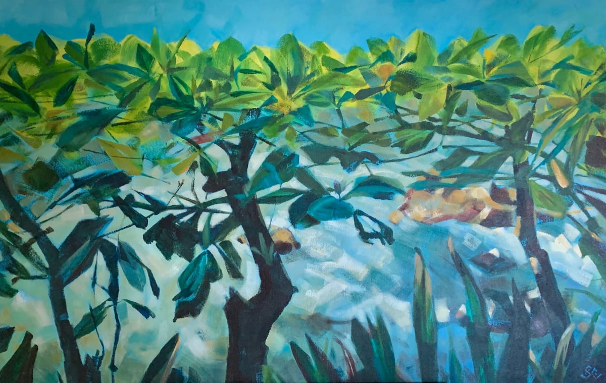 Young Almond Trees by Susan Clare, Image 1.