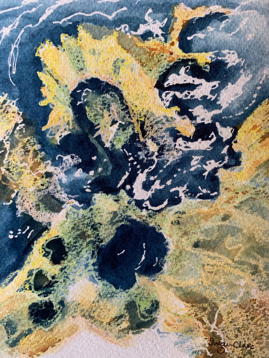 Rock Pools 2 (set of 4) by Susan Clare, Image 1.