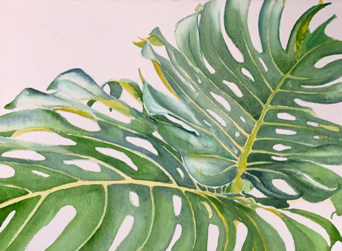 Two Monstera Leaves by Susan Clare 