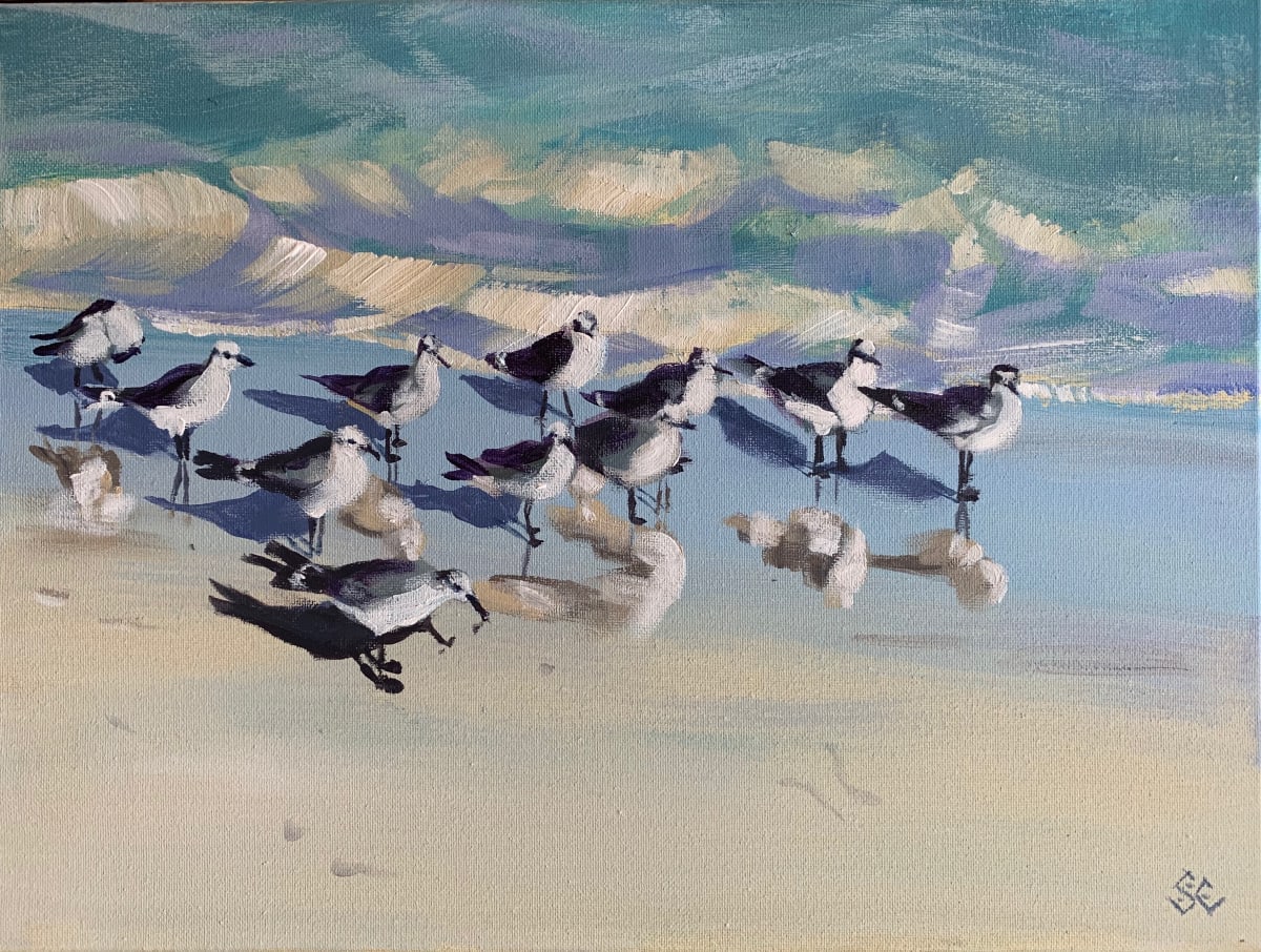 Eleven Little Gulls by Susan Clare 