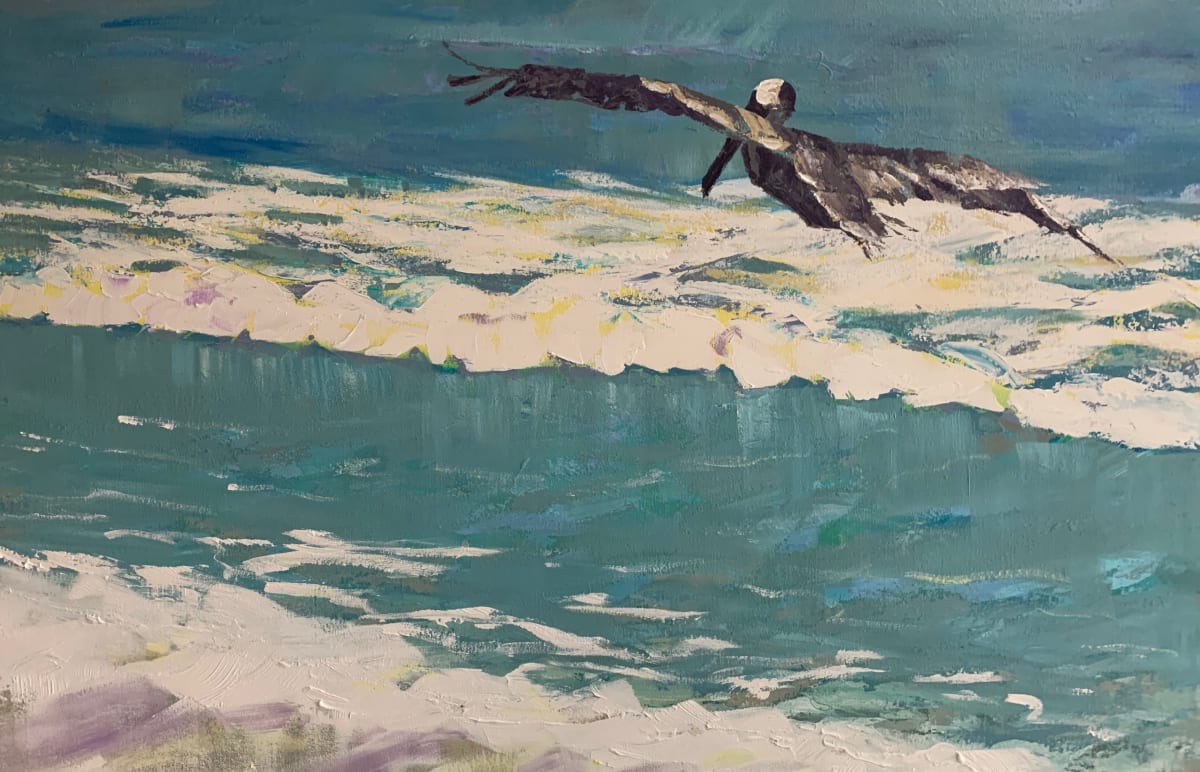 Pelican Soaring by Susan Clare 