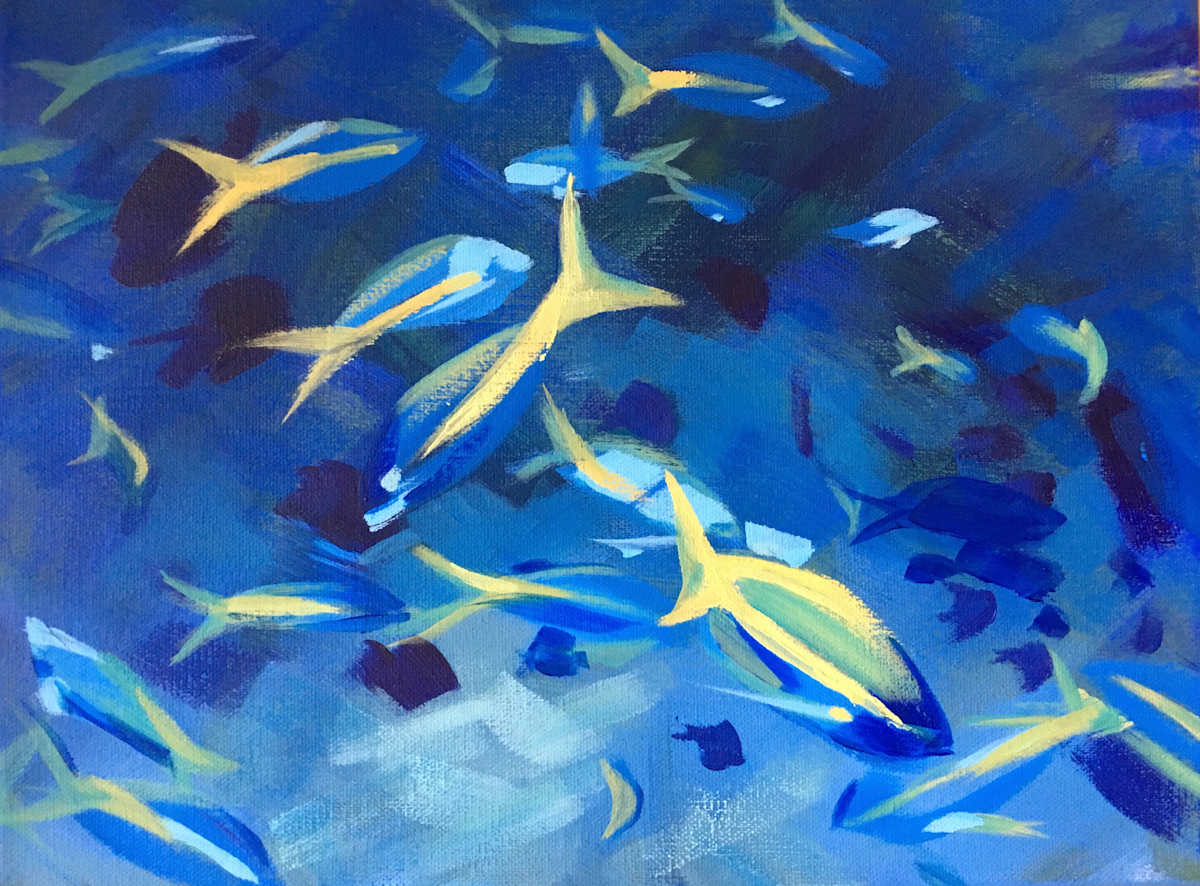 Yellowtail Dance by Susan Clare, Image 1.
