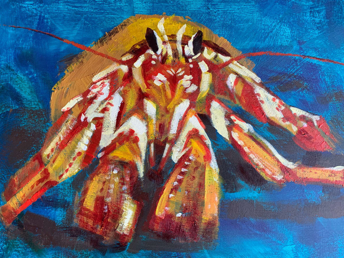 Orange Hermit Crab by Susan Clare 