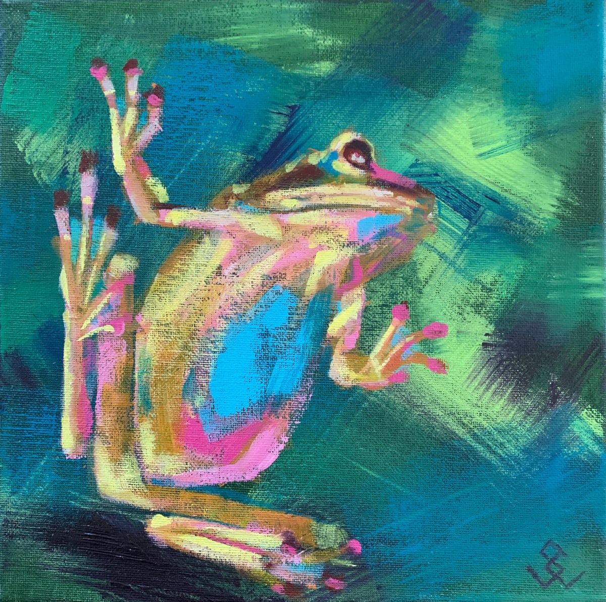 Little Frog by Susan Clare 