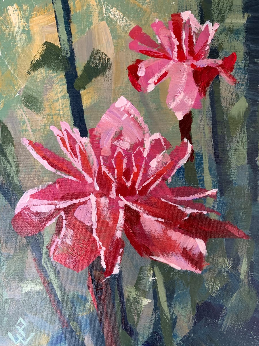 Pink Torch Ginger Lilies by Susan Clare 