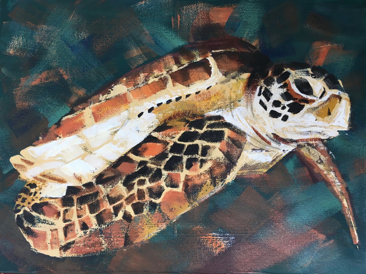 Annya's Turtle by Susan Clare 