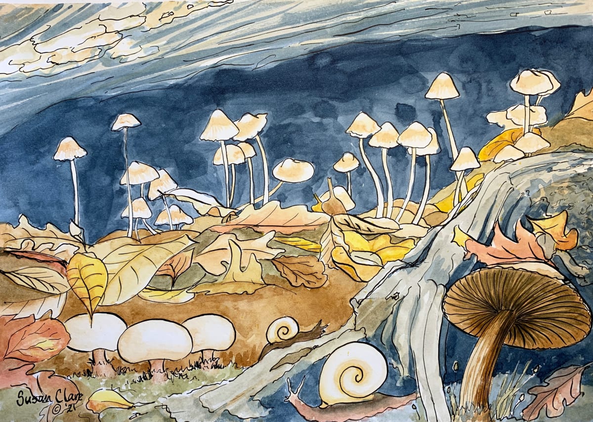 Mushroom Village by Susan Clare  Image: Mushroom Village in watercolour and ink, ©SusanClare
