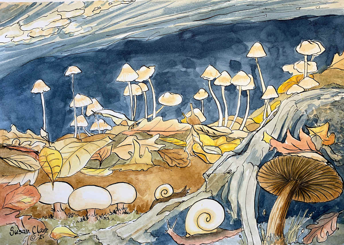 Mushroom Village by Susan Clare, Image 1.