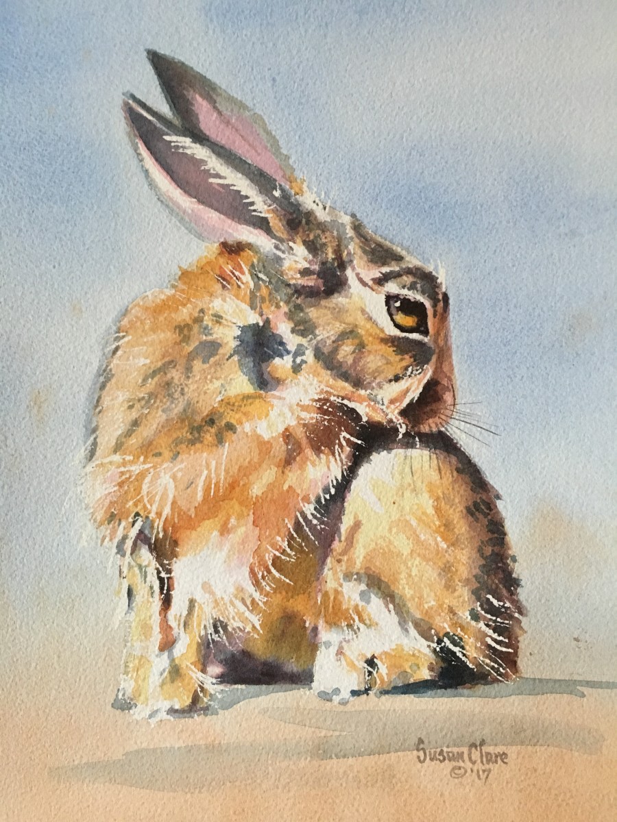 Coy Hare by Susan Clare 