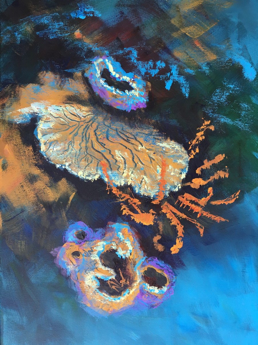 Vibrant Vases by Susan Clare 