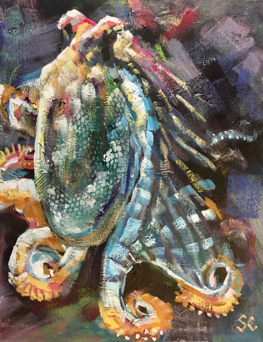Dusky Octopus by Susan Clare 