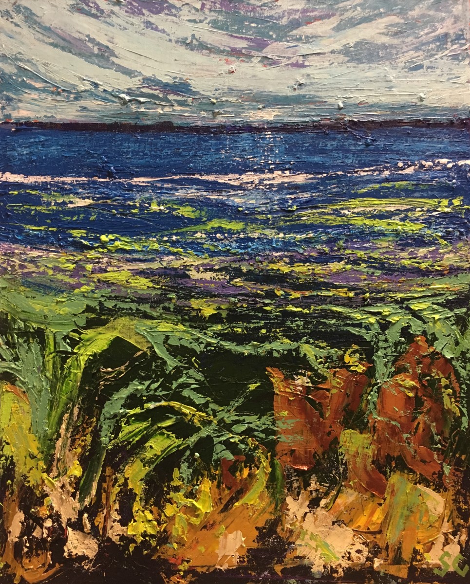 Seaweed City by Susan Clare 