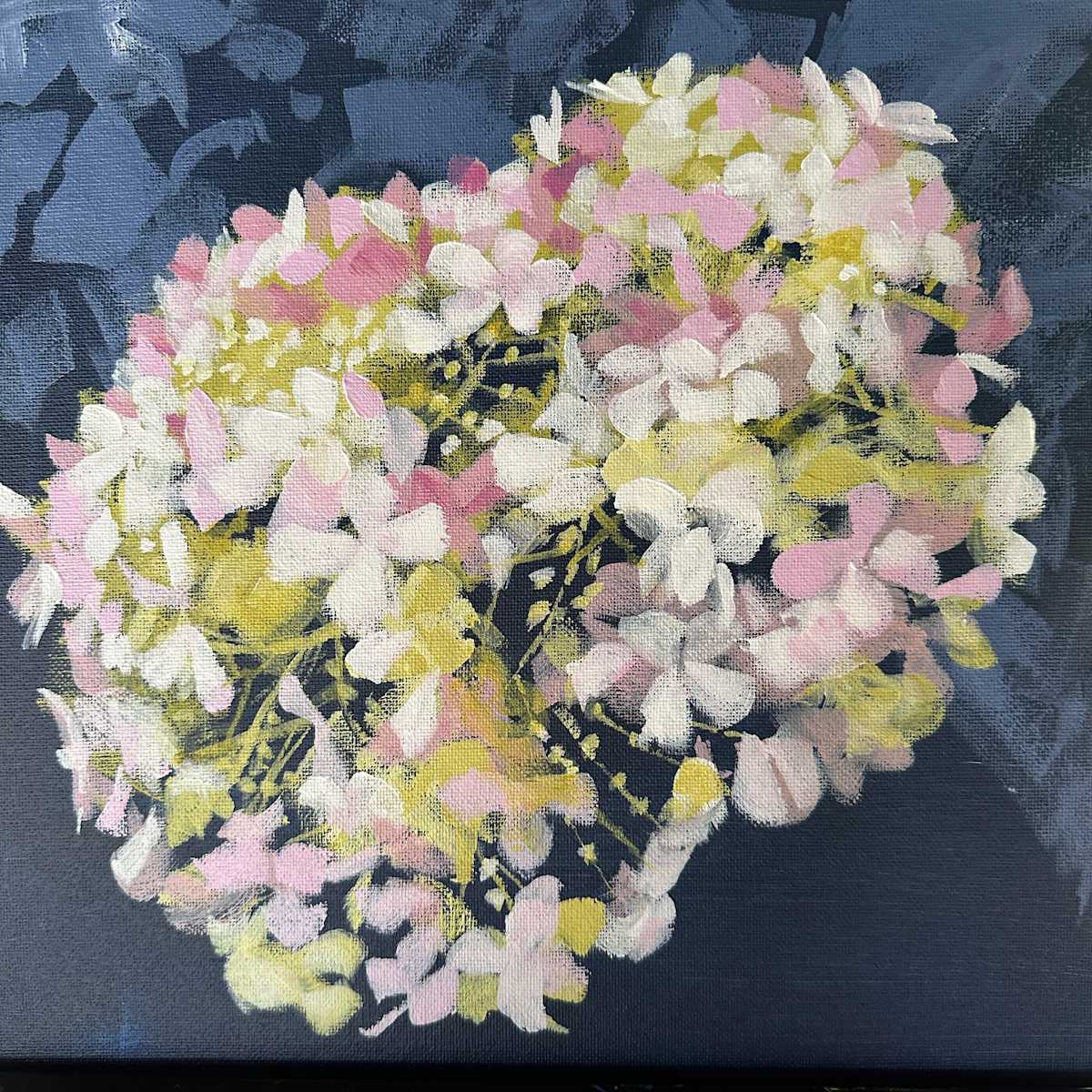 Lacy Hydrangea by Susan Clare, Image 1.