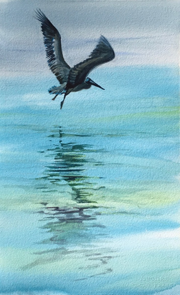 Pelican Reflection by Susan Clare 