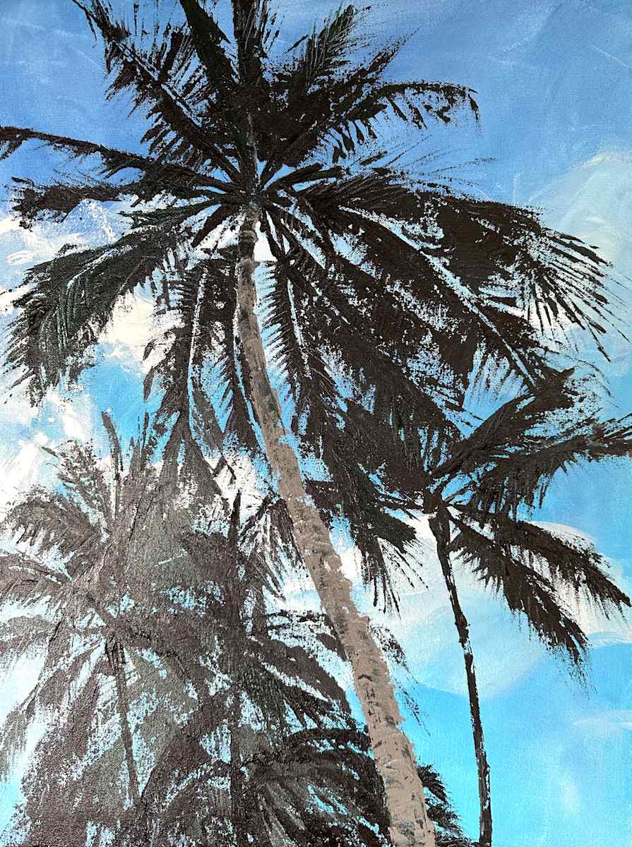 Sky Palms by Susan Clare 