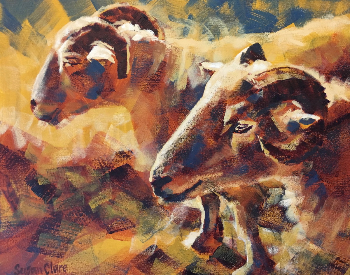 'Looking Sheepish?' by Susan Clare 