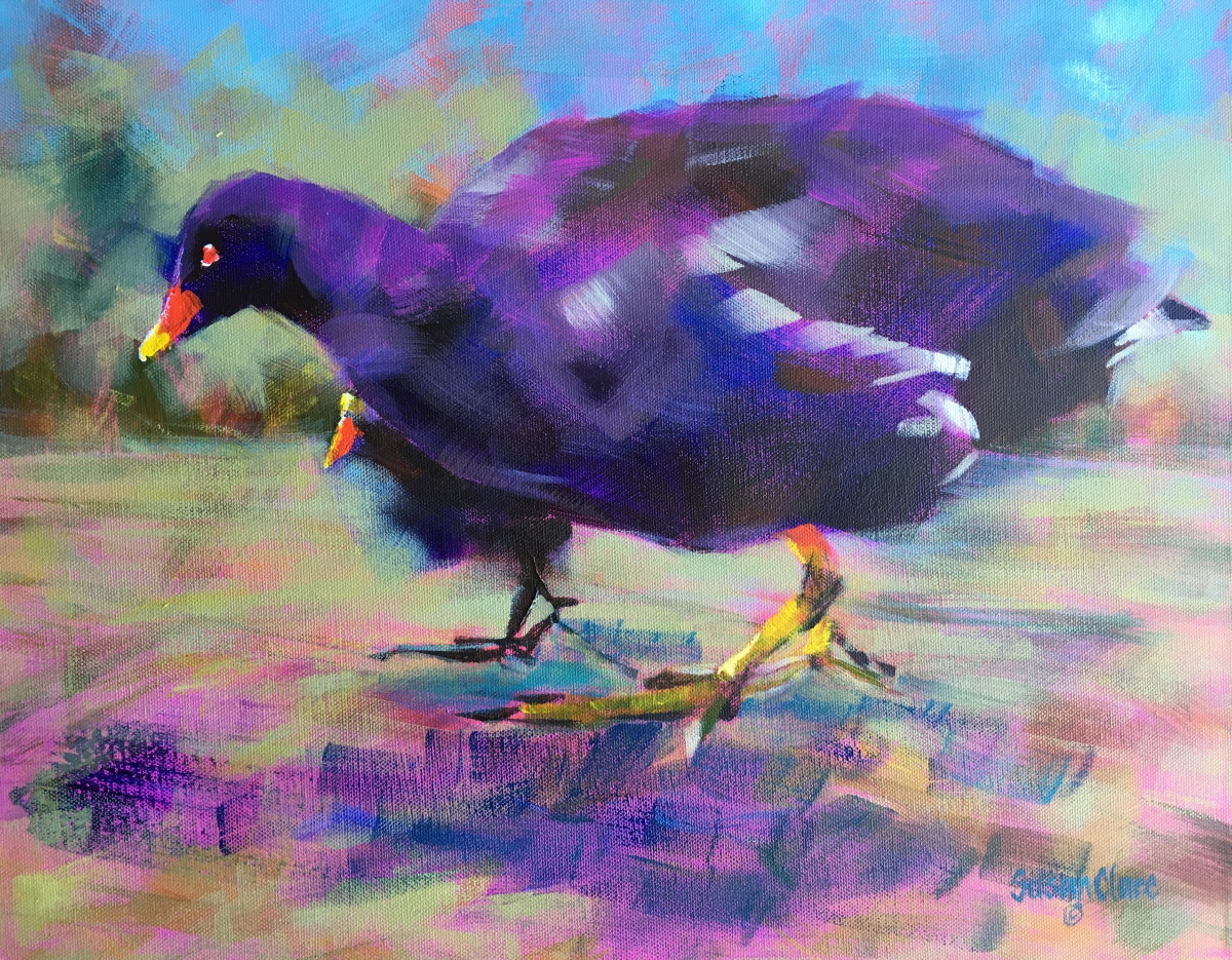 Moorhen & Chick by Susan Clare 