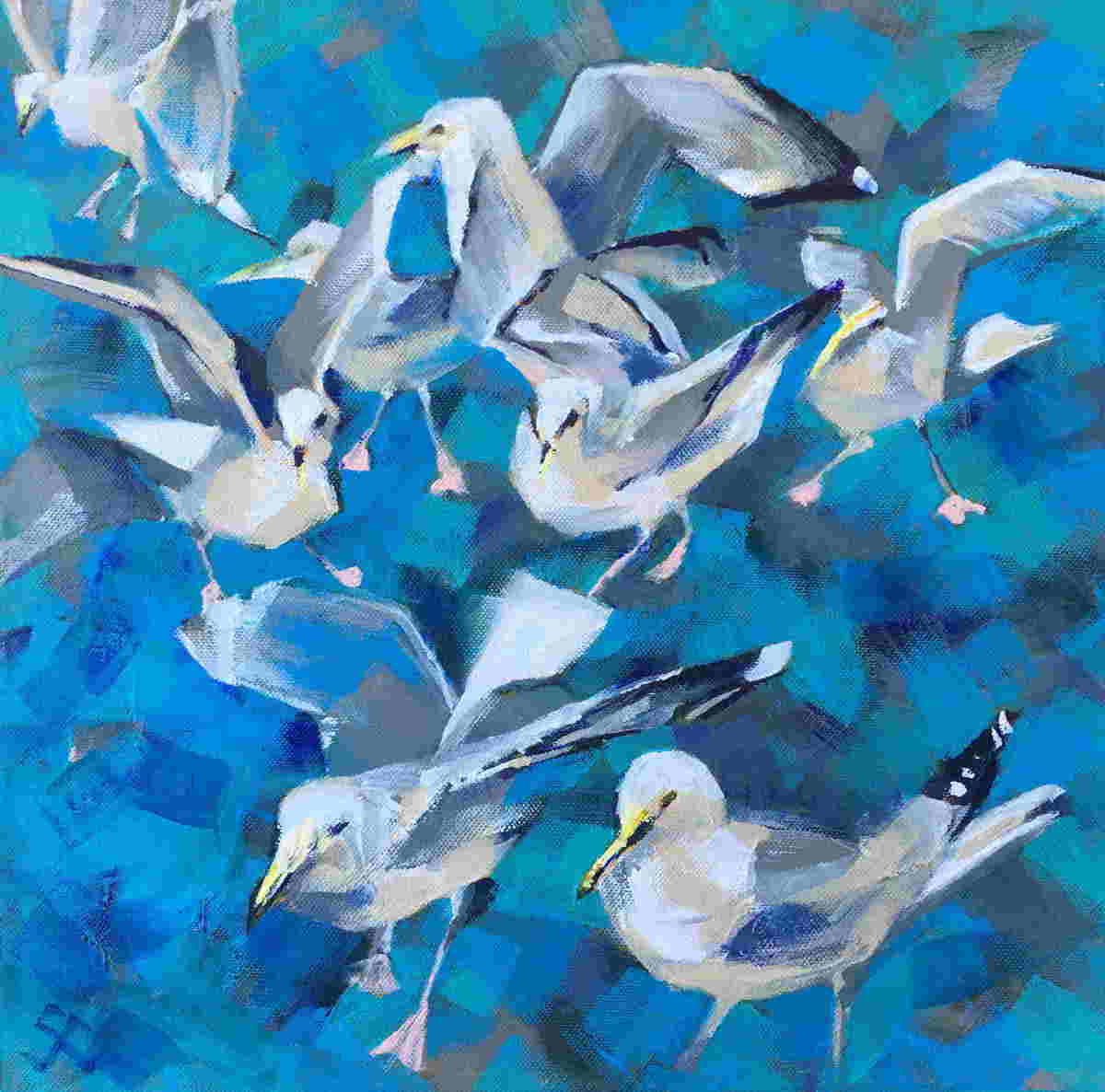 Seagulls 1 by Susan Clare 