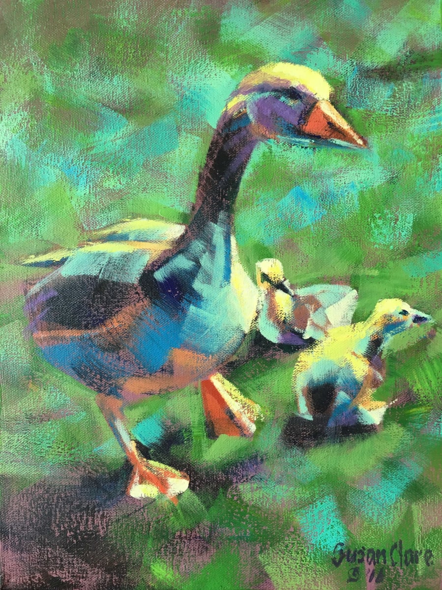 Goslings by Susan Clare 