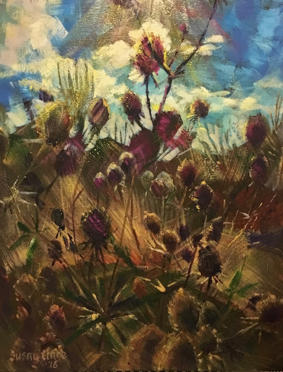 Teasels at Hyde Hall by Susan Clare 