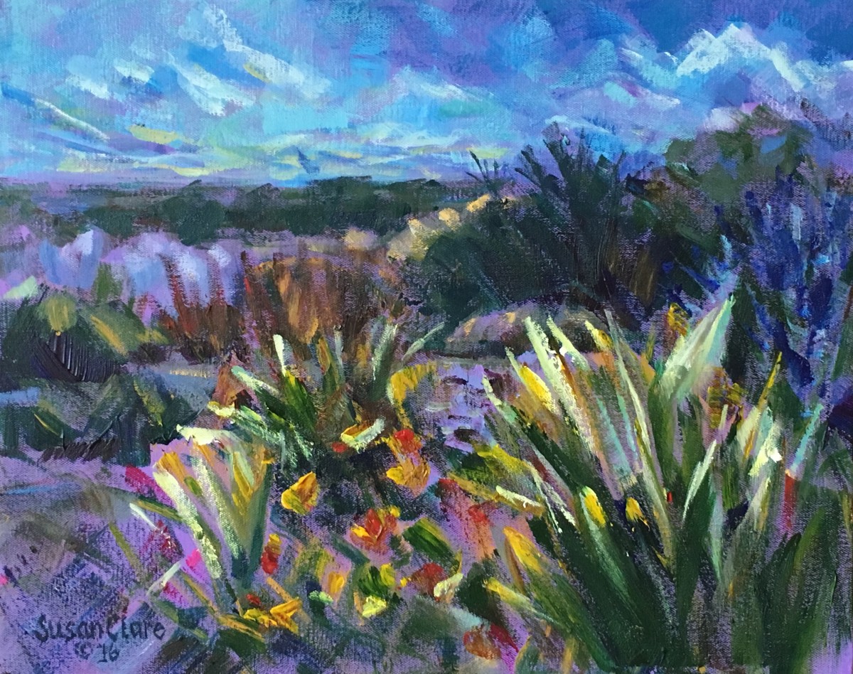 The Dry Garden by Susan Clare 