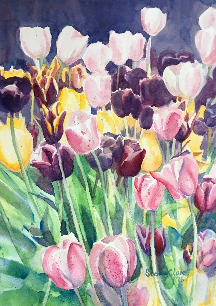 Tulips 2 by Susan Clare 