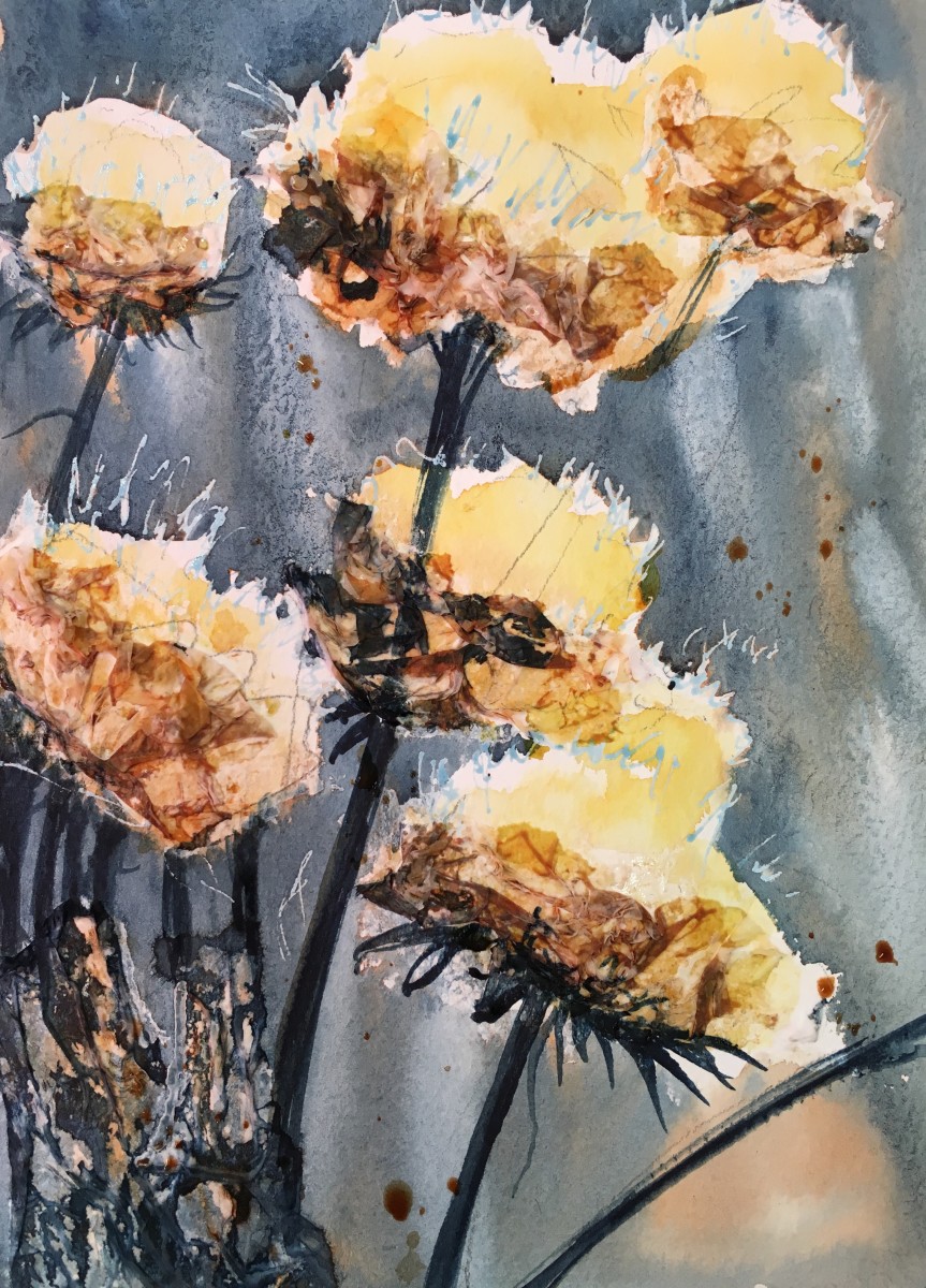 Fluffy Seed Heads by Susan Clare 