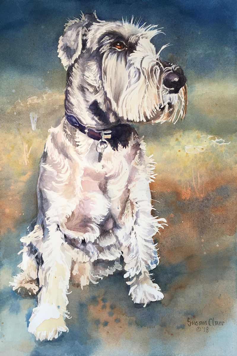 Alfie the Schnauzer by Susan Clare, Image 1.
