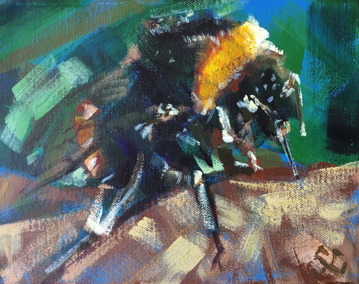 Bumble Bee by Susan Clare 