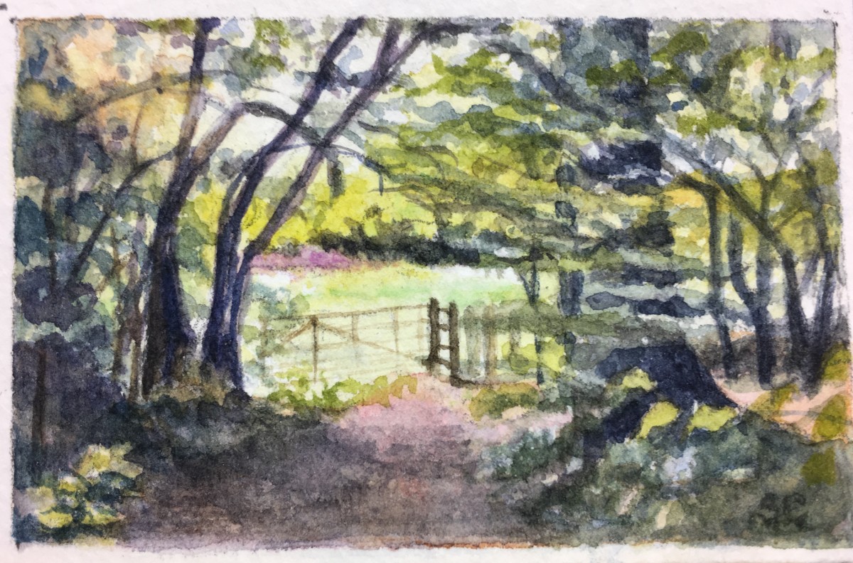 Woodland Gate by Susan Clare 