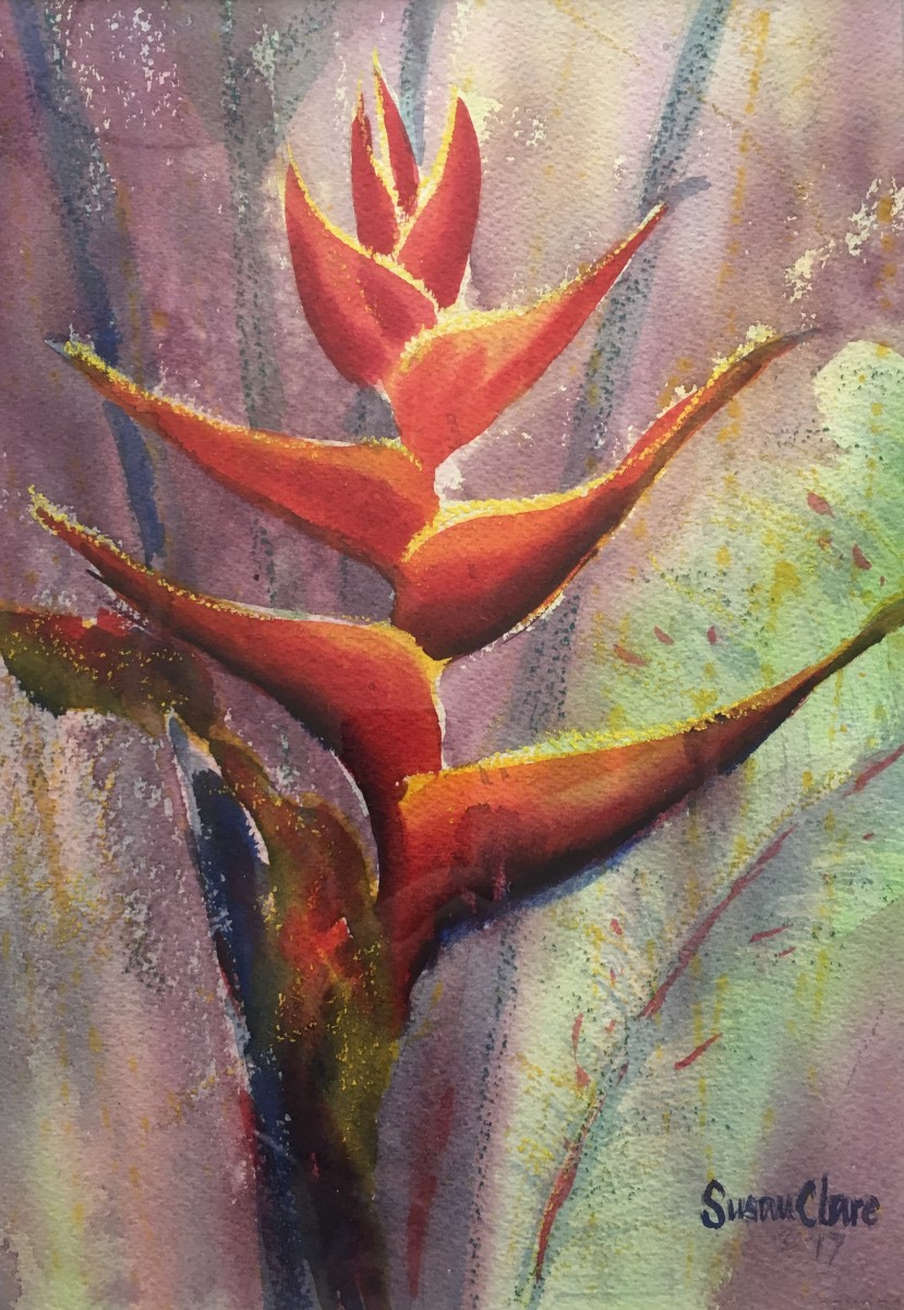 Single Heliconia by Susan Clare 