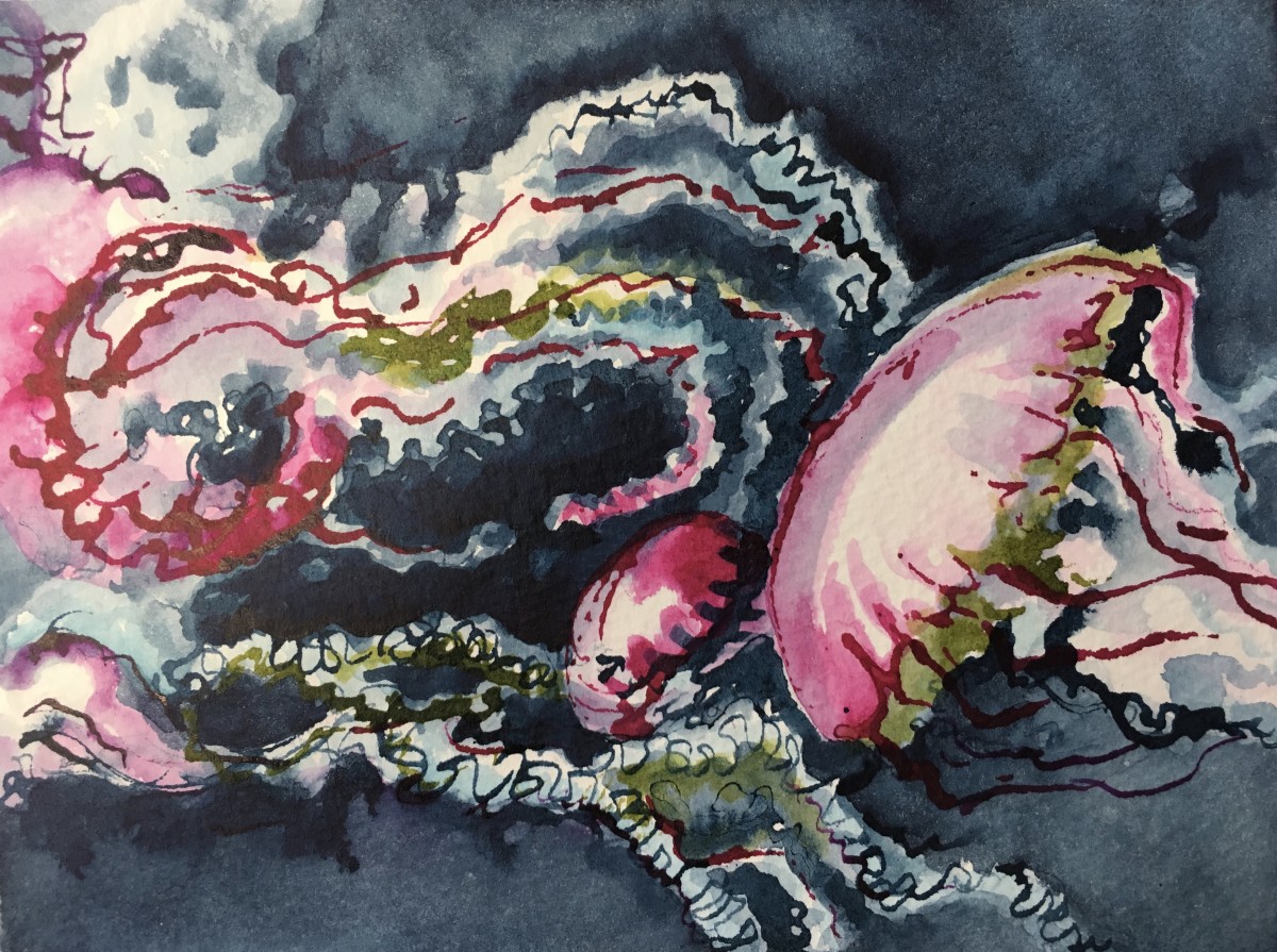 Pink Jellies by Susan Clare 