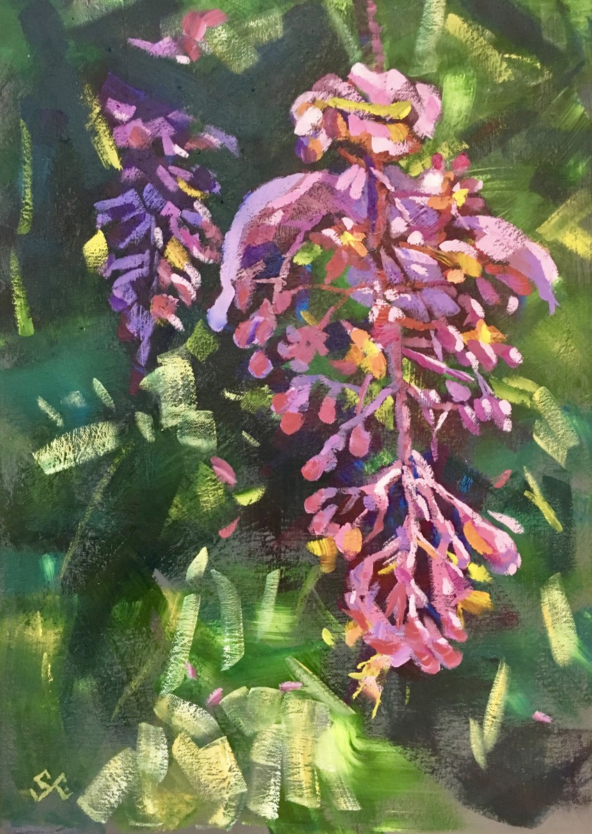 Medinilla Bloom 2 by Susan Clare 