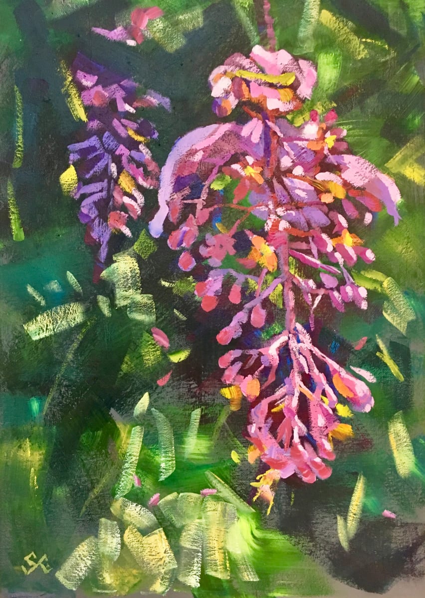 Medinilla Bloom 2 by Susan Clare, Image 1.