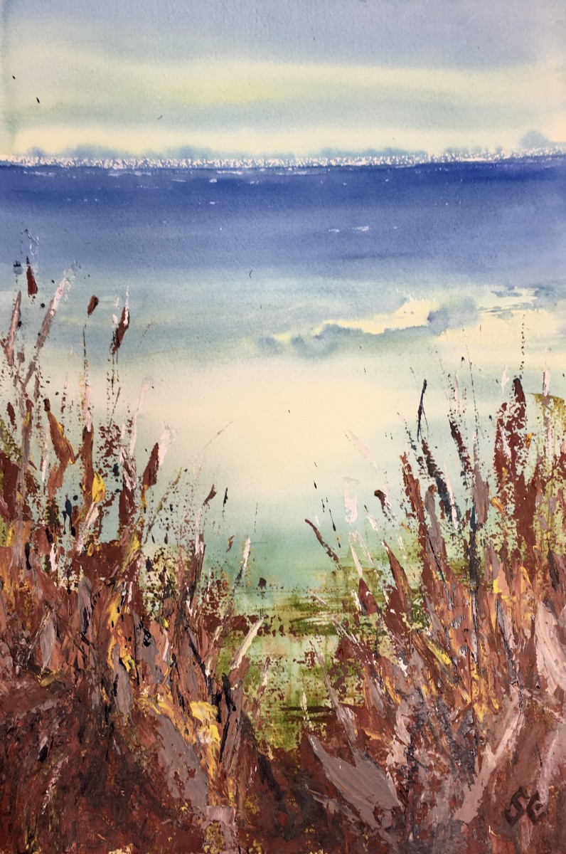 Track to the Sea by Susan Clare 